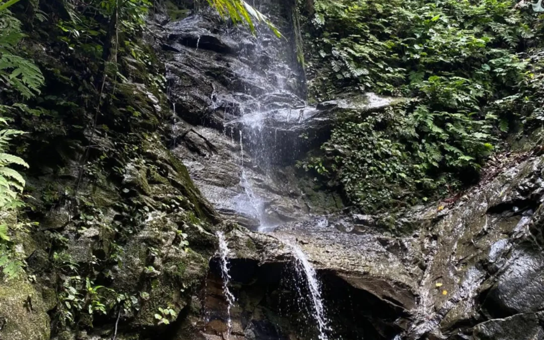 Air Terjun Batpanasalat: Permata Tersembunyi di Hutan Tropis Desa Maileppet